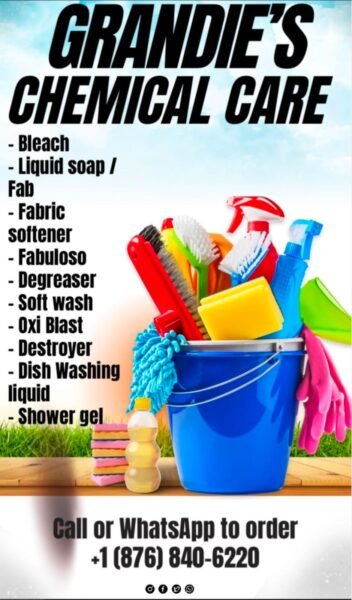 CHEMICAL AND CLEANING